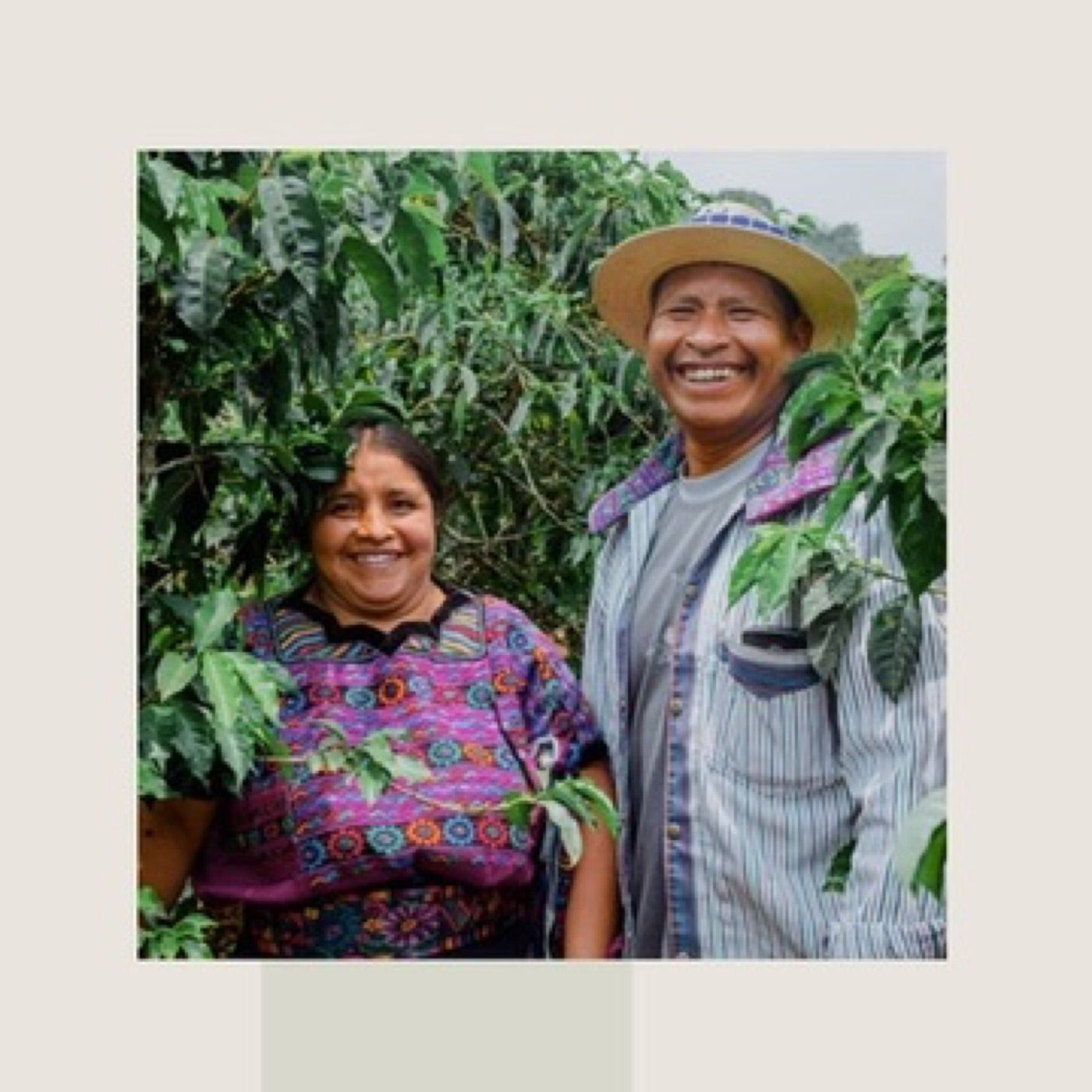 Coffee farmers at origin