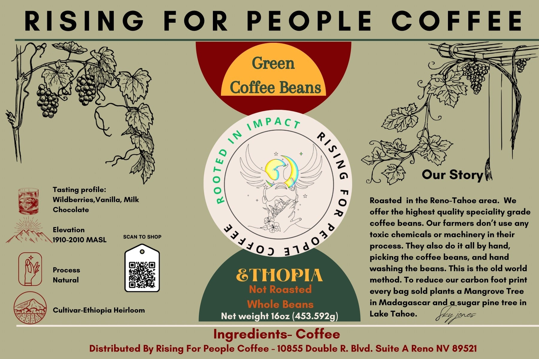 Ethiopia Natural- Green Coffee Beans — Rising For People Coffee, Reno NV — image 3