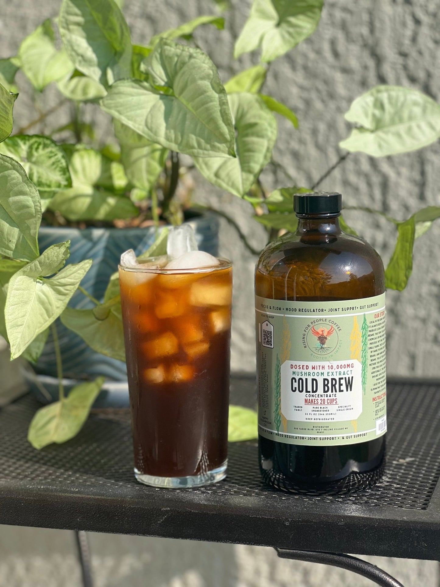 Mushroom Cold Brew & Thai Chai Concentrate Set — Rising For People Coffee, Reno NV — image 5