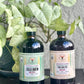 Mushroom Cold Brew & Thai Chai Concentrate Set — Rising For People Coffee, Reno NV