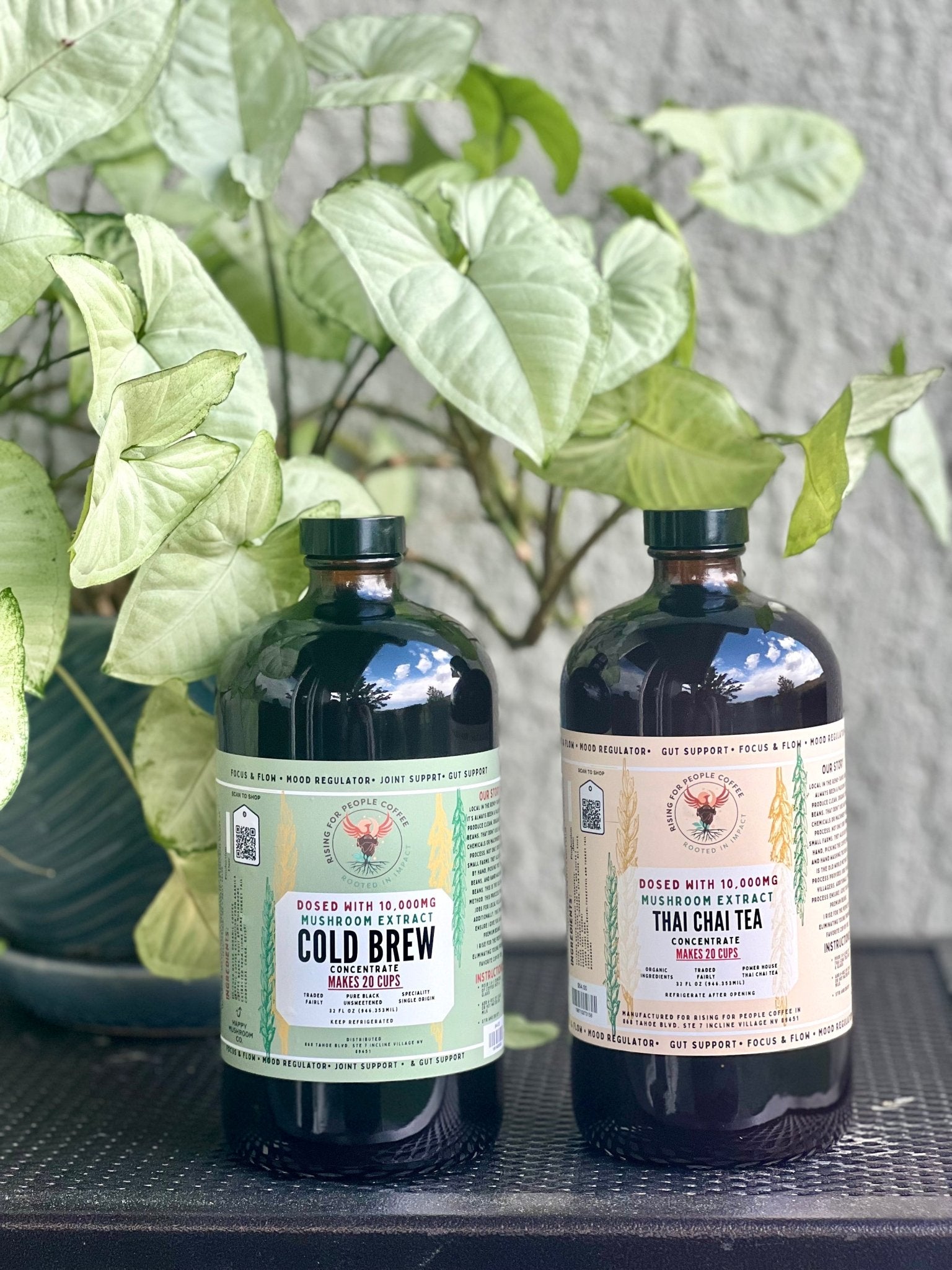 Mushroom Cold Brew & Thai Chai Concentrate Set — Rising For People Coffee, Reno NV