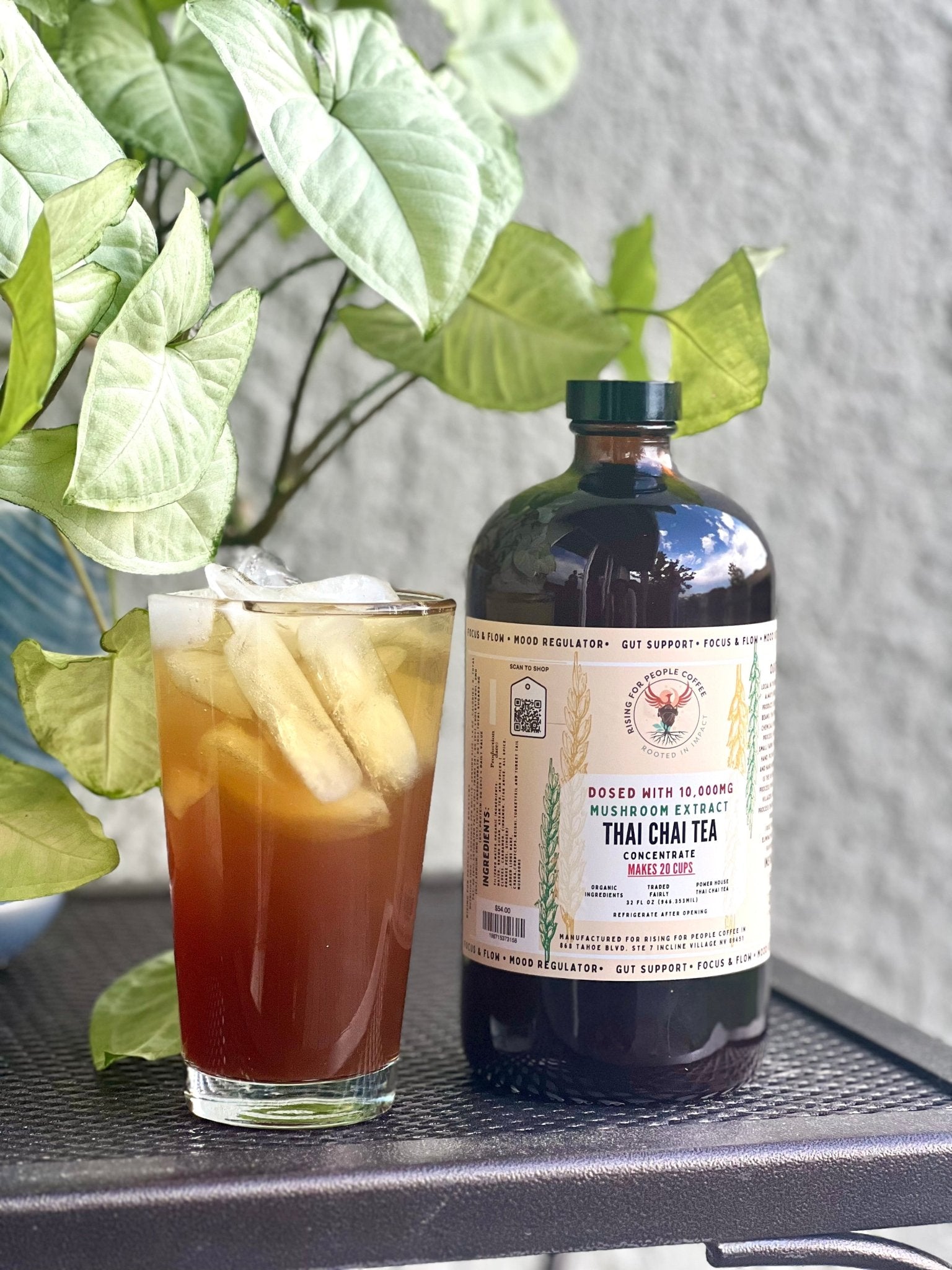 Mushroom Cold Brew & Thai Chai Concentrate Set — Rising For People Coffee, Reno NV — image 6
