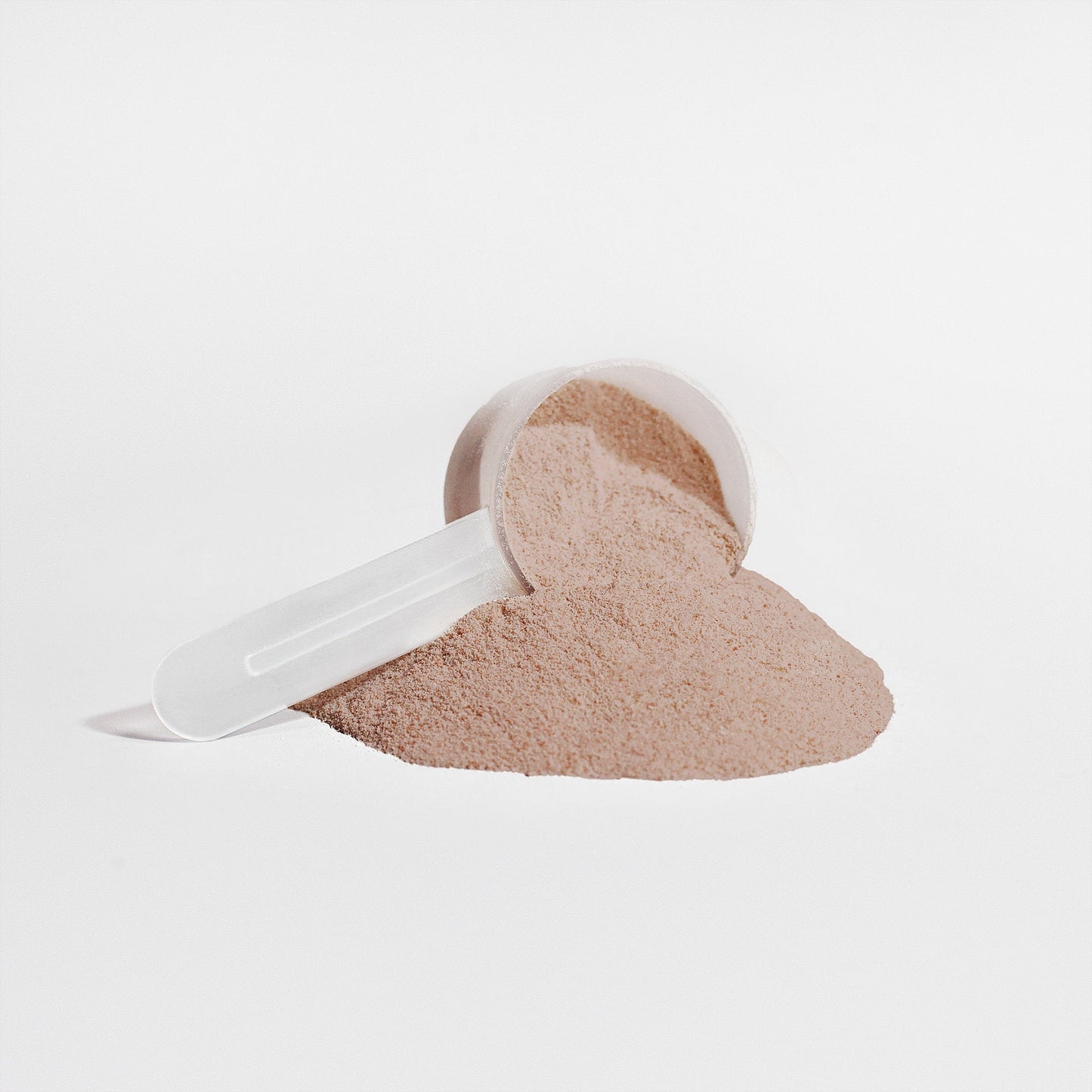 Plant Protein (Chocolate) — Rising For People Coffee, Reno NV — image 4