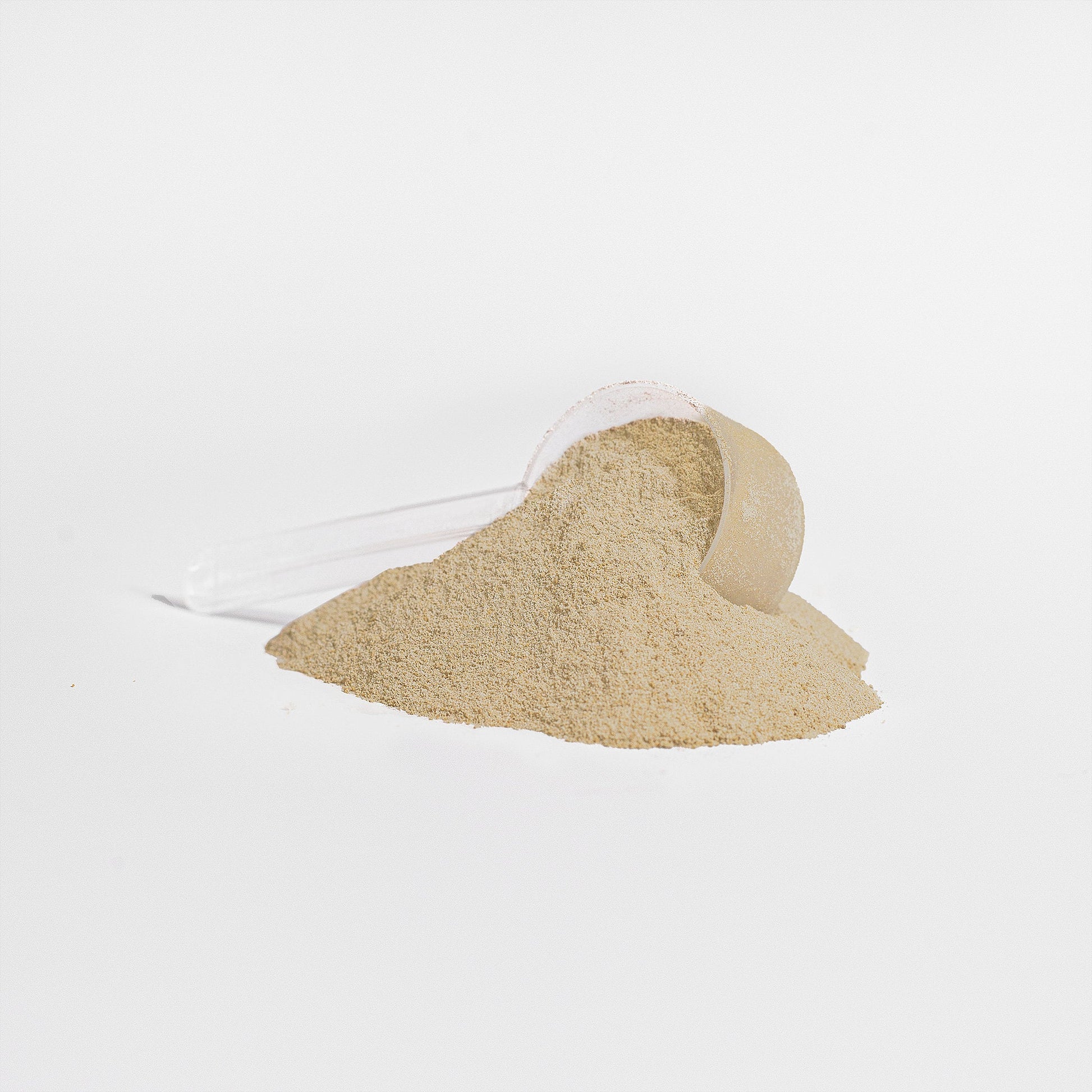 Plant Protein (Vanilla) — Rising For People Coffee, Reno NV — image 2