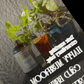 Mushroom Cold Brew & Thai Chai Concentrate Set — Rising For People Coffee, Reno NV — image 4