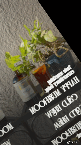 Mushroom Cold Brew & Thai Chai Concentrate Set — Rising For People Coffee, Reno NV — image 4